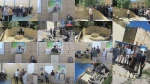 مسابقه المان معماری