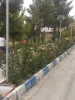 اهدای ۱۰ عدد یخچال، ۲۰۰۰ عدد بوته گل رز و تعدادی تشک و پتو توسط خیرین نیک اندیش به آموزشکده فنی و حرفه ای مرودشت 4